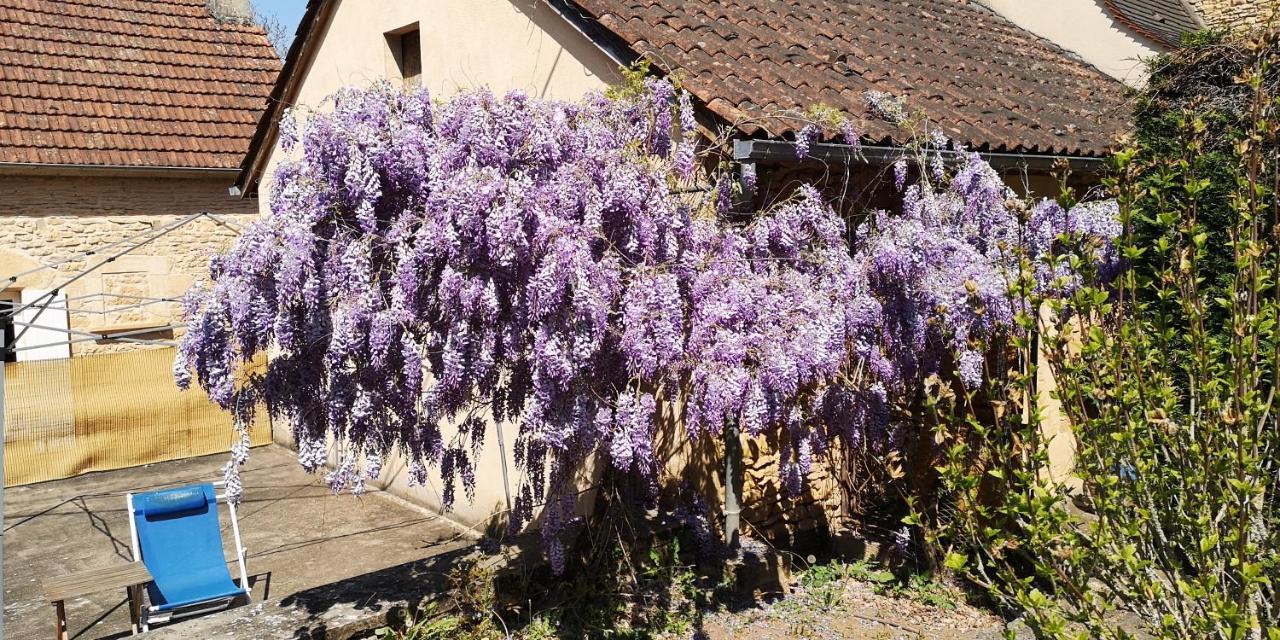 Gite Du Bouyssou Carsac-Aillac Luaran gambar