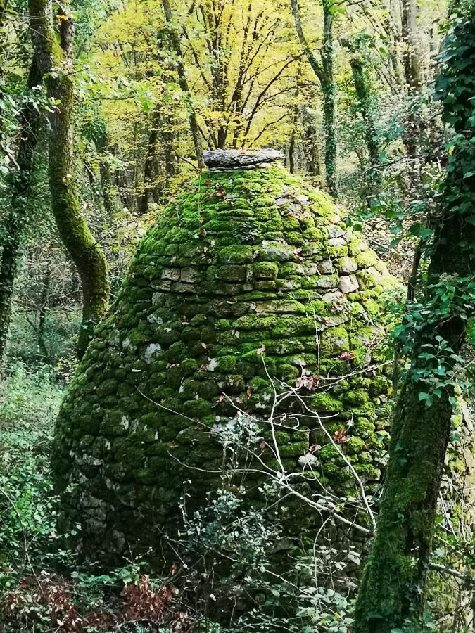Gite Du Bouyssou Carsac-Aillac Luaran gambar