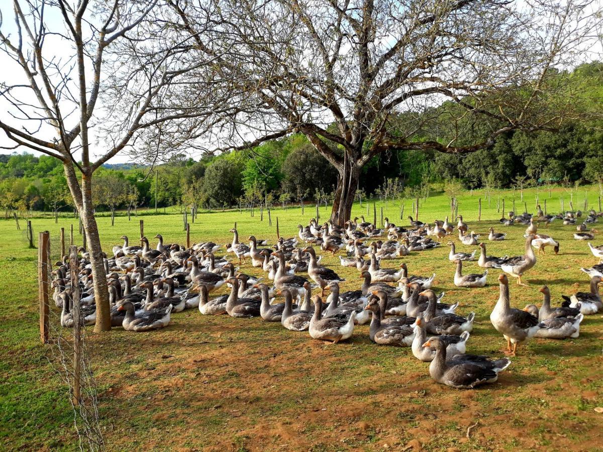 Gite Du Bouyssou Carsac-Aillac Luaran gambar