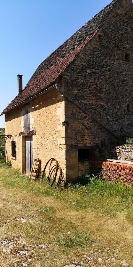 Gite Du Bouyssou Carsac-Aillac Luaran gambar