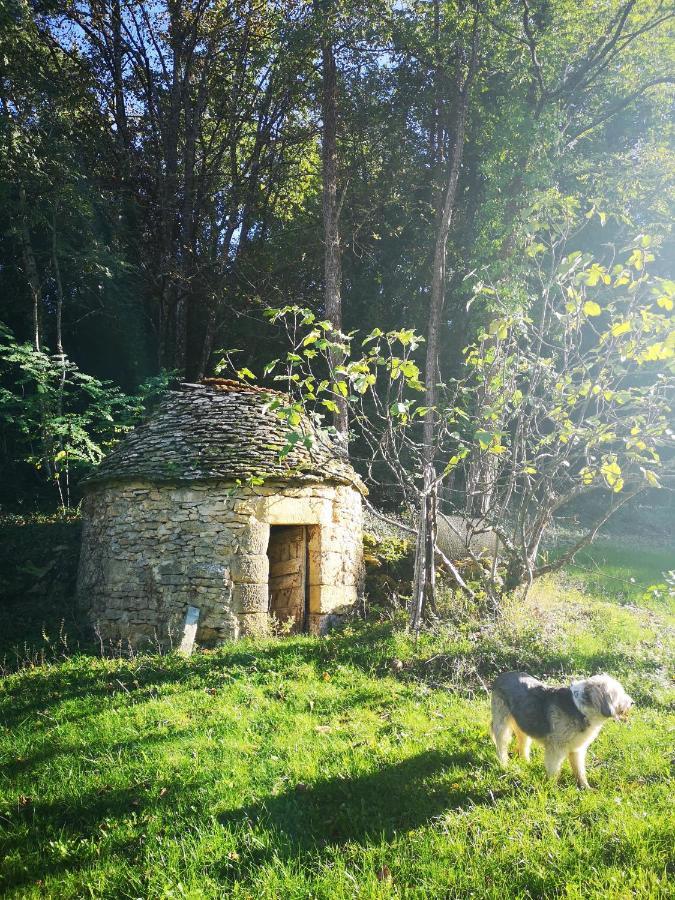 Gite Du Bouyssou Carsac-Aillac Luaran gambar